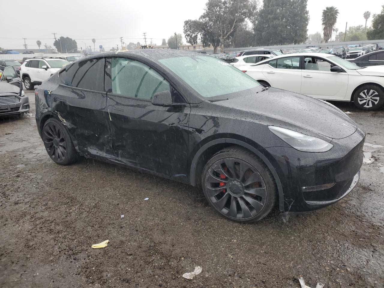 2023 TESLA MODEL Y  VIN:7SAYGDEF1PF924254