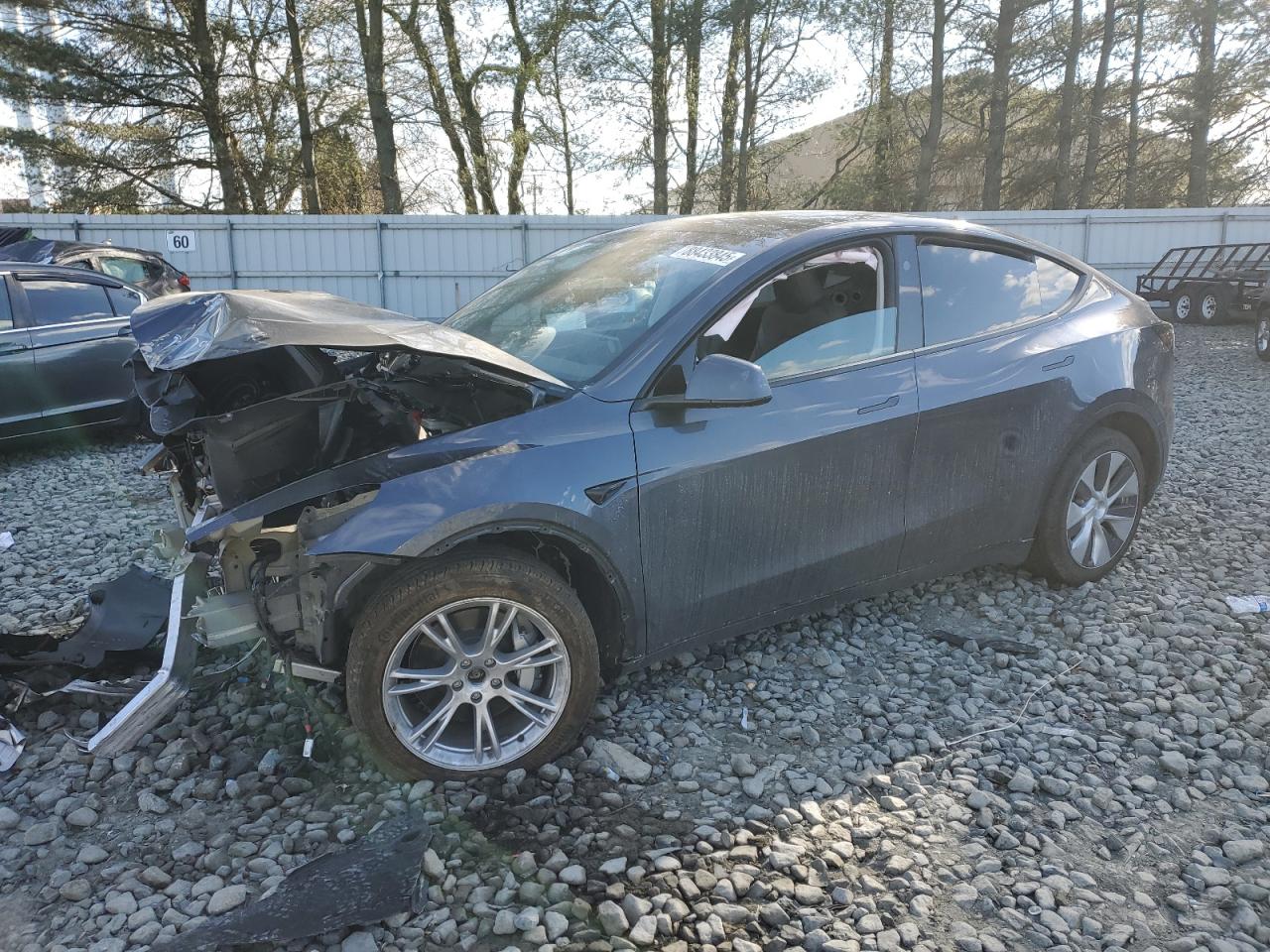 2023 TESLA MODEL Y  VIN:7SAYGDEE8PF886156