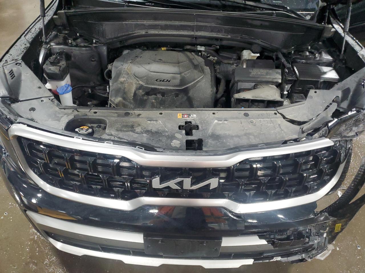2023 KIA TELLURIDE SX VIN:5XYP5DGC6PG406098
