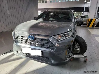 2021 Toyota RAV4 JTMW2RFV9MD102309 VIN:JTMW2RFV9MD102309