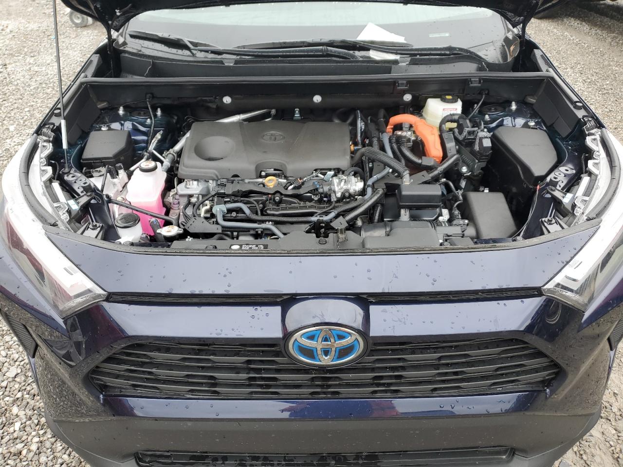 2024 TOYOTA RAV4 XLE VIN:4T3RWRFV0RU163527