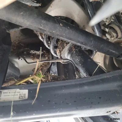 2021 BMW X4 M WBSUJ010XM9F16036 VIN:WBSUJ010XM9F16036