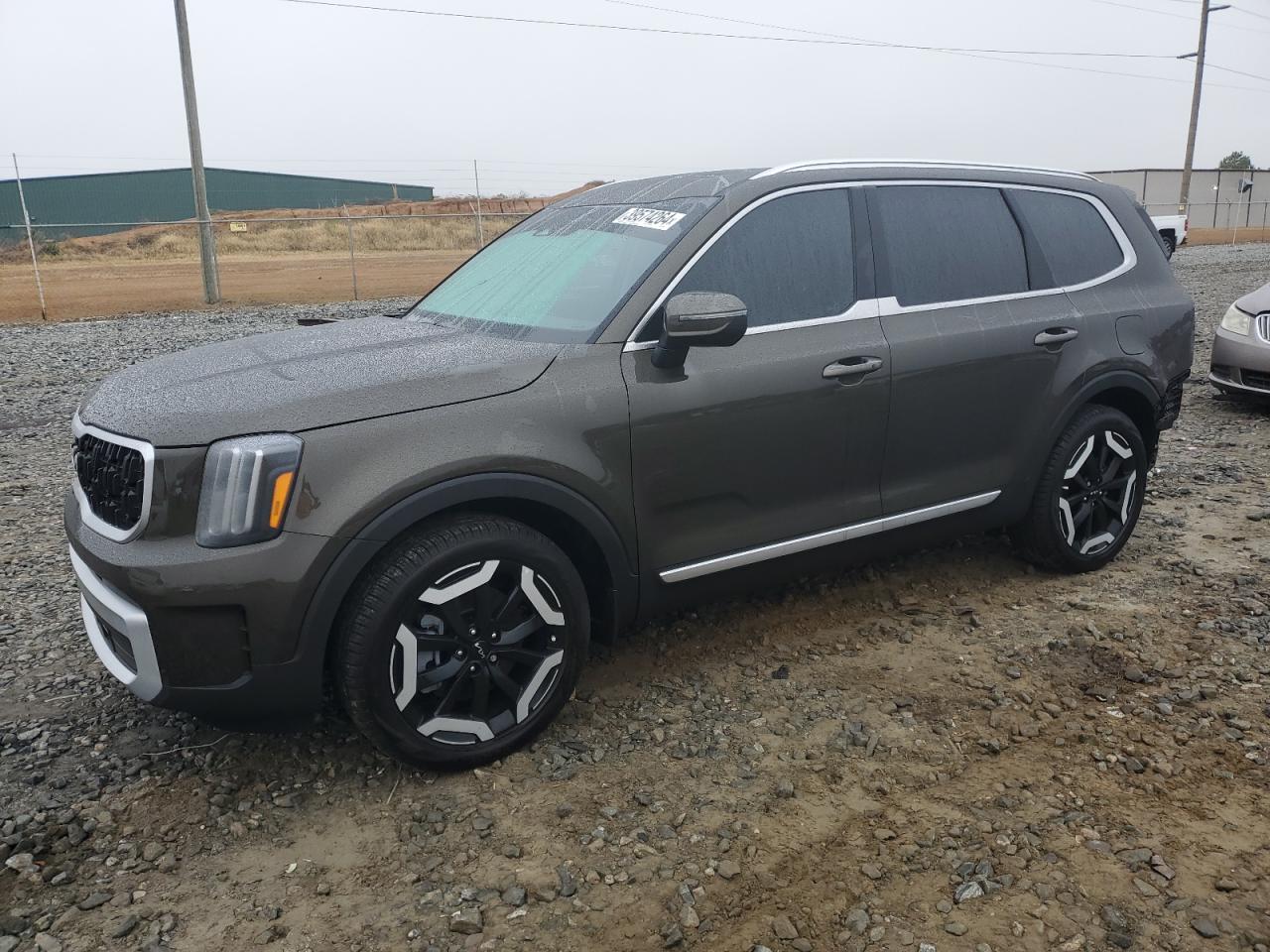 2024 KIA TELLURIDE EX VIN:5XYP34GCXRG470024