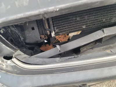 2015 Volkswagen Tiguan WVGZZZ5NZFW562816 VIN:WVGZZZ5NZFW562816