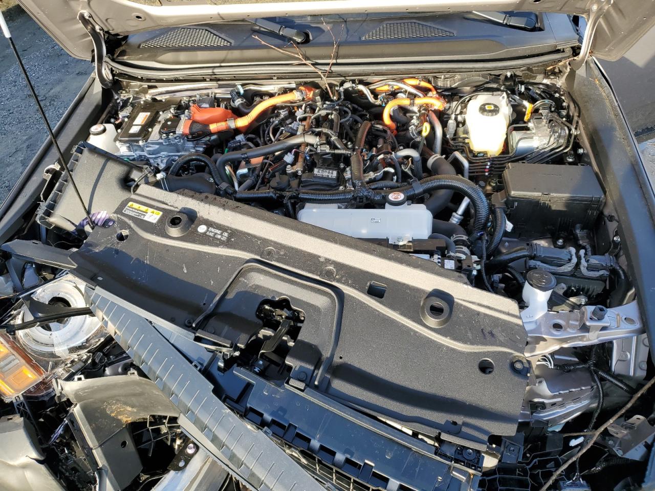 2024 TOYOTA LAND CRUISER BASE VIN:JTEABFAJ1RK015399