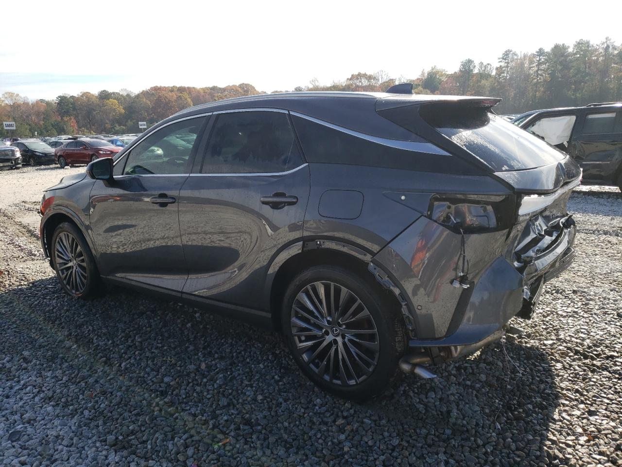 2024 LEXUS RX 350 BASE VIN:2T2BAMBA3RC028182