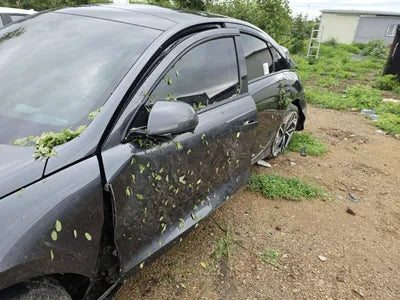2023 Hyundai Ioniq KMHM341AFPA000648 VIN:KMHM341AFPA000648