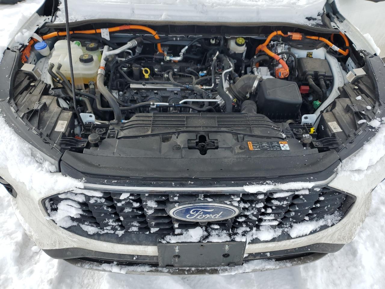 2023 FORD ESCAPE  VIN:1FMCU0E14PUB40070