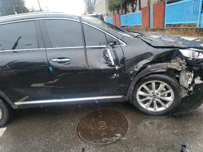 2017 Kia Sorento KNAPS81ABHA319110 VIN:KNAPS81ABHA319110