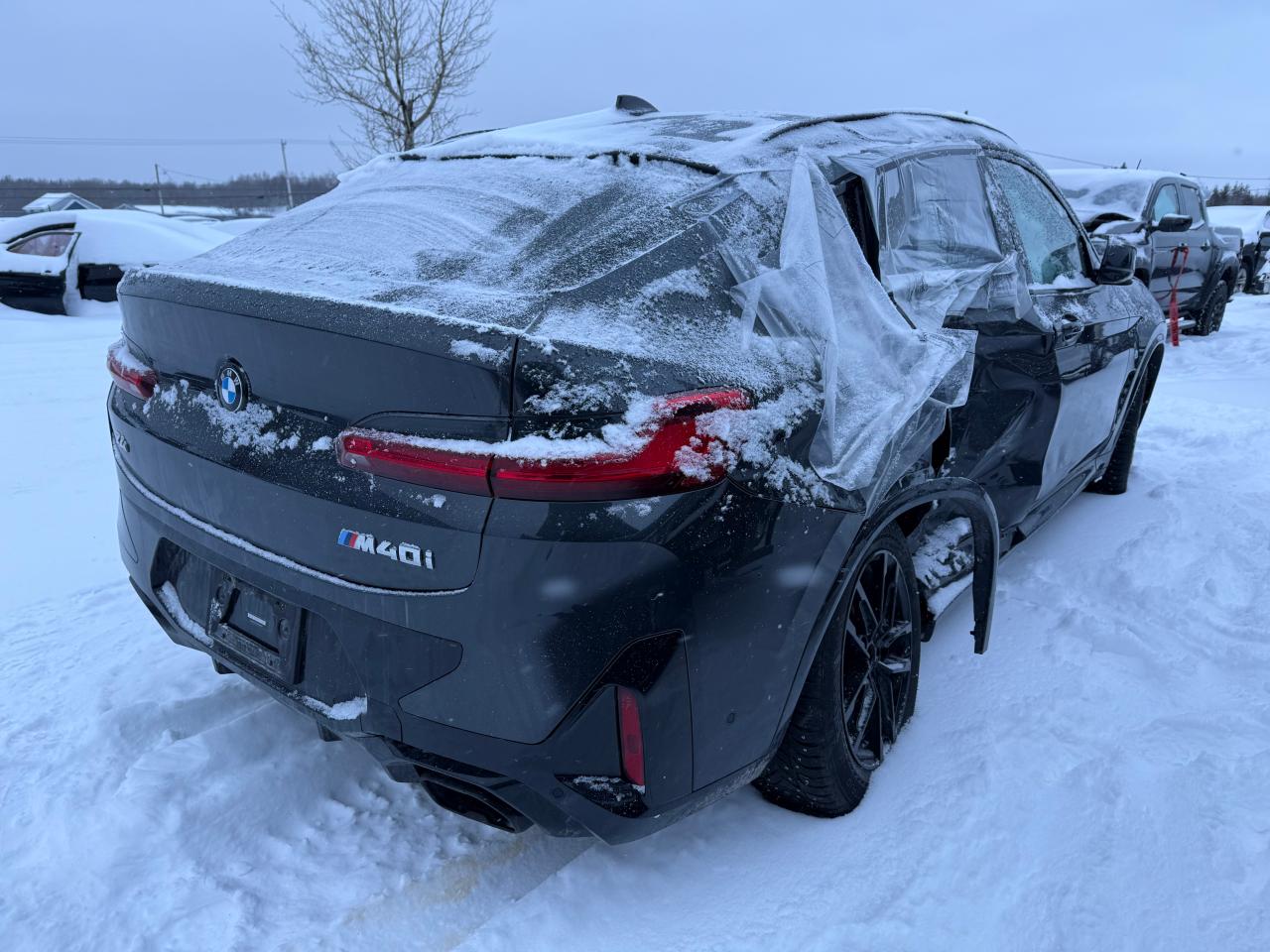 2023 BMW X4 M40I VIN:5UX43DT03P9S61199