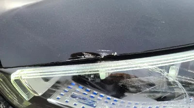 2022 Mercedes-Benz S 580 W1K6G7GB1NA097626 VIN:W1K6G7GB1NA097626