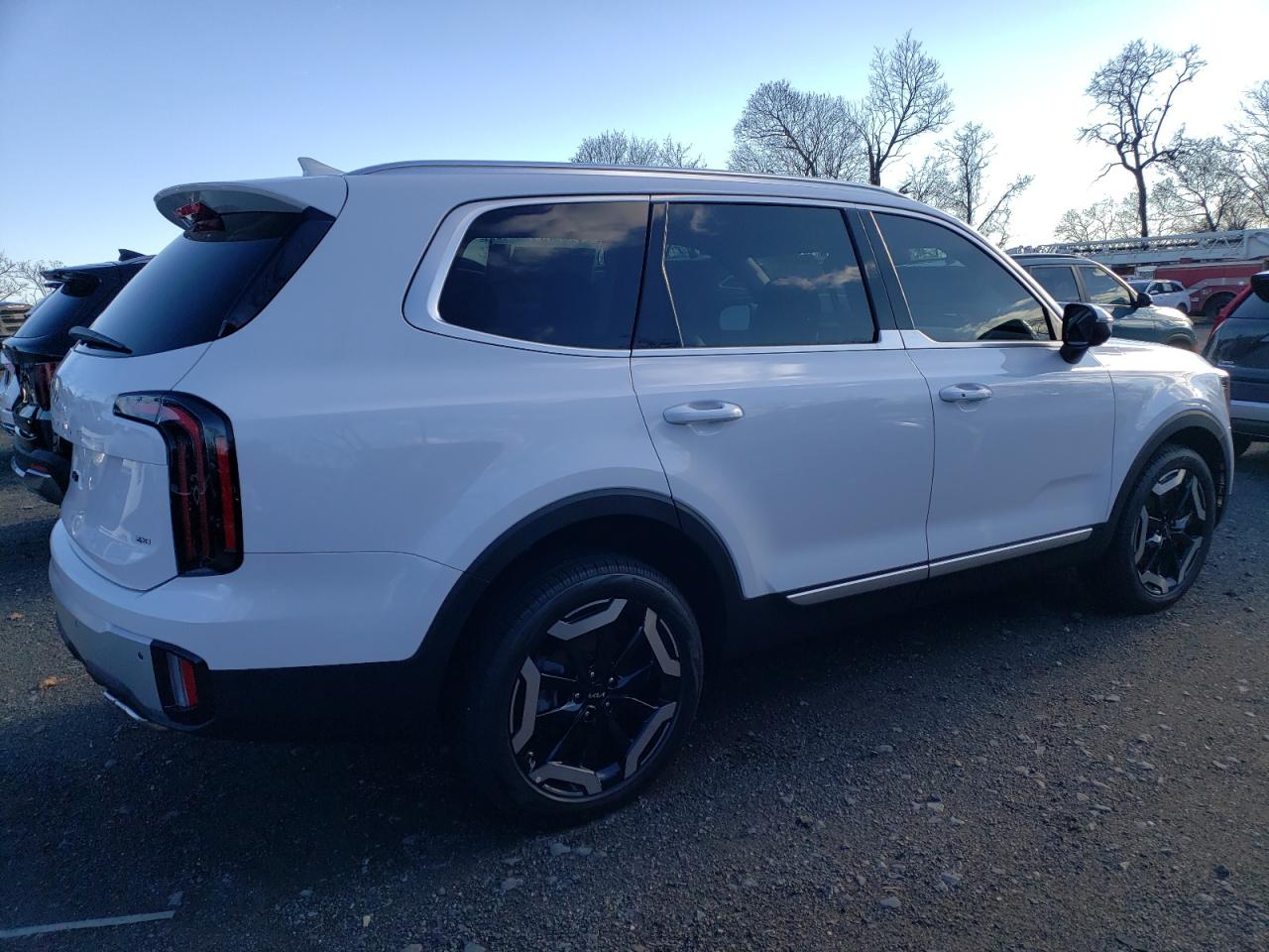2024 KIA TELLURIDE EX VIN:5XYP3DGCXRG551136