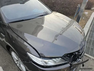 2019 Toyota Camry JTNB21HK6K3018613 VIN:JTNB21HK6K3018613