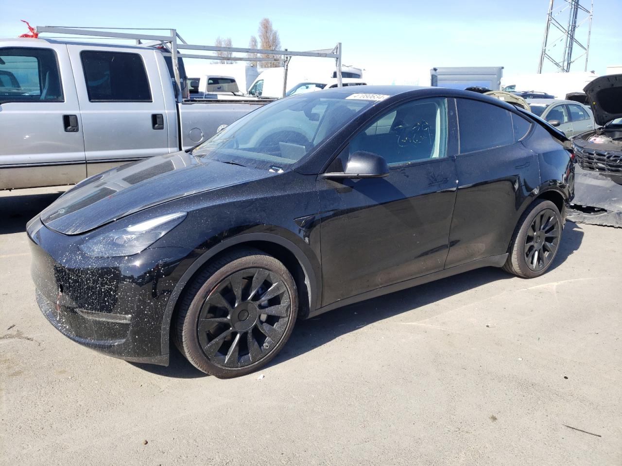 2023 TESLA MODEL Y  VIN:7SAYGAEE3PF814750