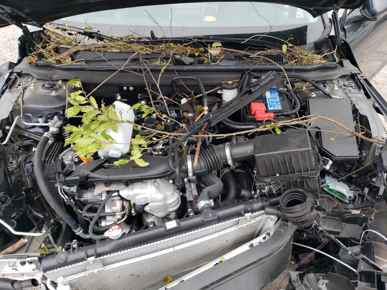 2024 HONDA ACCORD EX VIN:1HGCY1F30RA065419