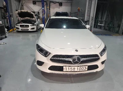 2019 Mercedes-Benz CLS 400 WDD2J2DB1KA043813 VIN:WDD2J2DB1KA043813