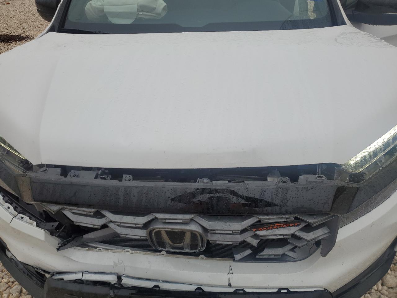 2024 HONDA PASSPORT TRAIL SPORT VIN:5FNYF8H68RB013750