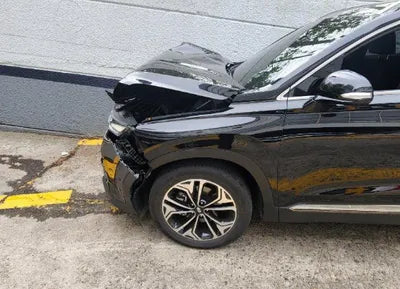 2019 Hyundai Santa FE KMHS381BBKU103988 VIN:KMHS381BBKU103988