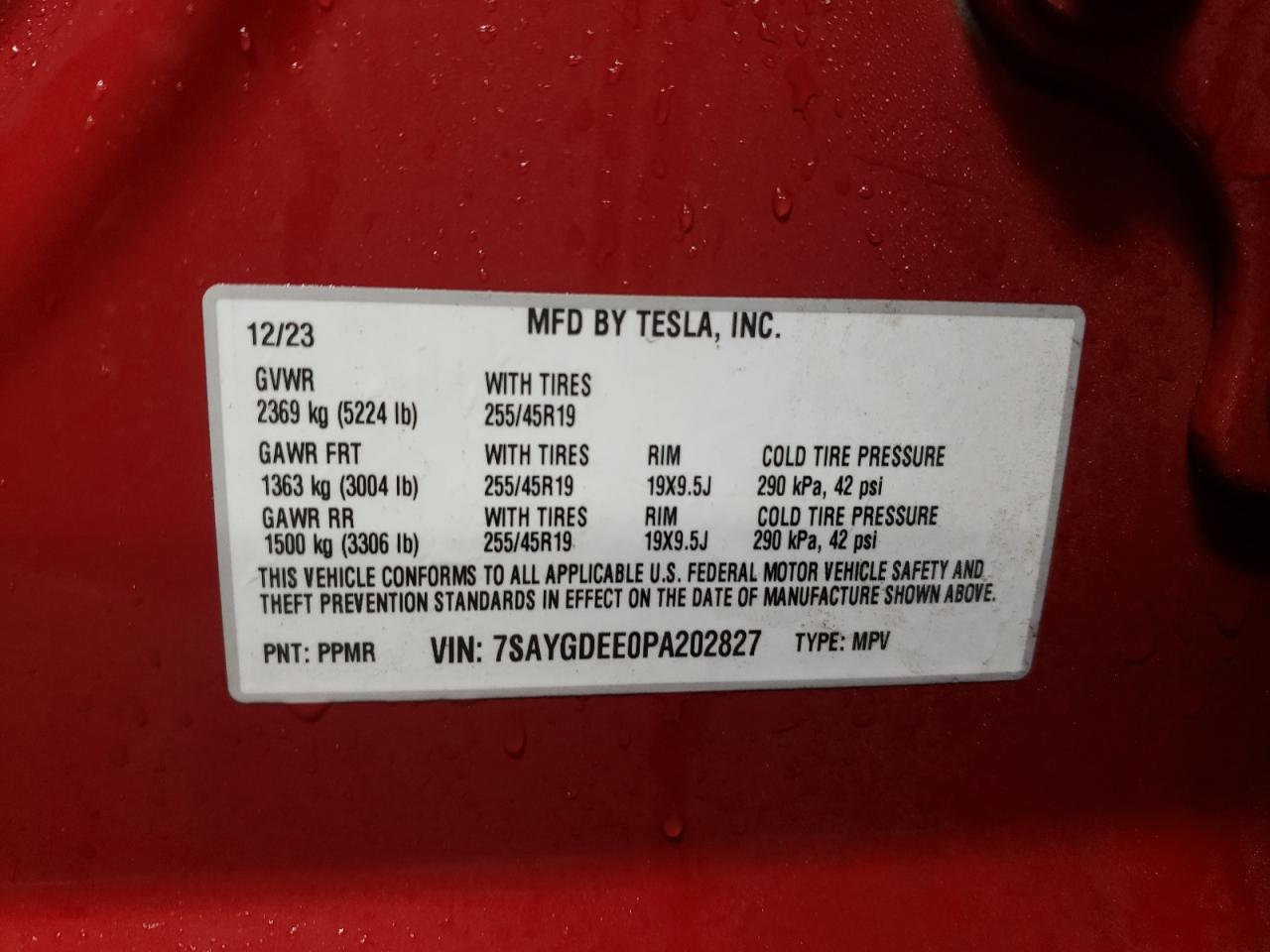 2023 TESLA MODEL Y  VIN:7SAYGDEE0PA202827