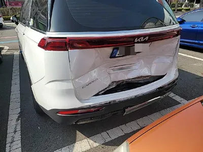 2022 Kia Carnival KNANE81BBNS166263 VIN:KNANE81BBNS166263