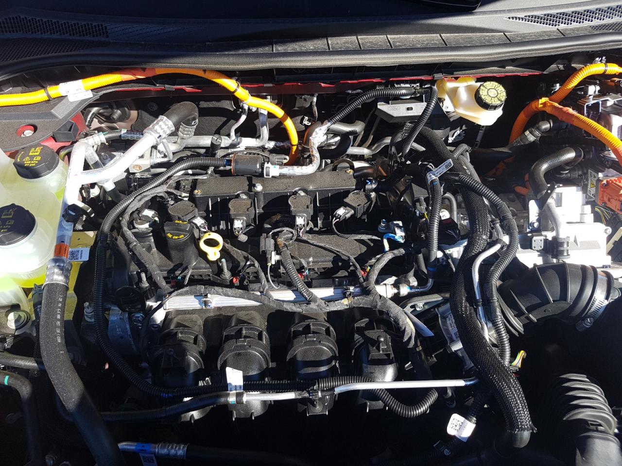 2024 FORD ESCAPE  VIN:1FMCU0E10RUA81098