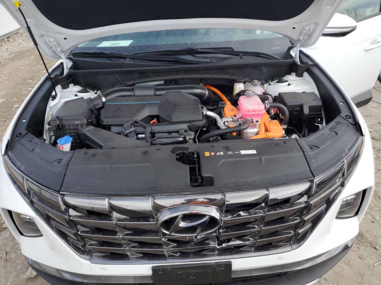 2024 HYUNDAI TUCSON LIMITED VIN:KM8JECD1XRU203554