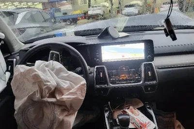2021 Kia Sorento KNARF81BGMA060485 VIN:KNARF81BGMA060485