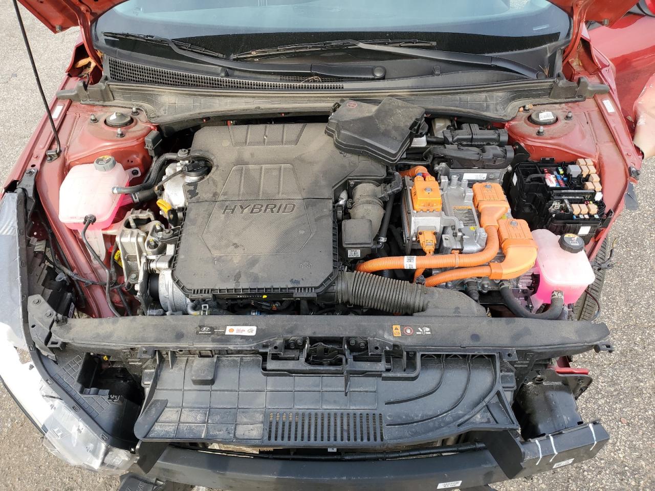 2023 HYUNDAI ELANTRA BLUE VIN:KMHLM4AJ6PU054031