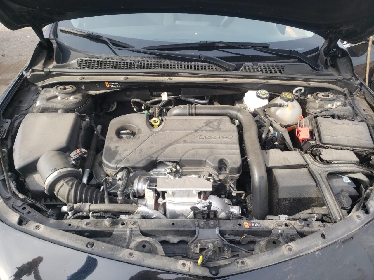 2023 CHEVROLET MALIBU LS VIN:1G1ZB5ST2PF118489