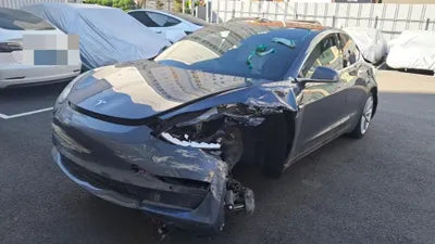 2020 Tesla Model 3 5YJ3E1EB9LF649316 VIN:5YJ3E1EB9LF649316
