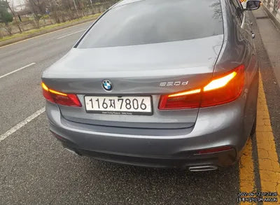 2020 BMW 520 WBAJF3107LWW71893 VIN:WBAJF3107LWW71893