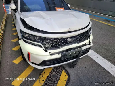 2021 Kia Sorento KNARL81GBMA028189 VIN:KNARL81GBMA028189