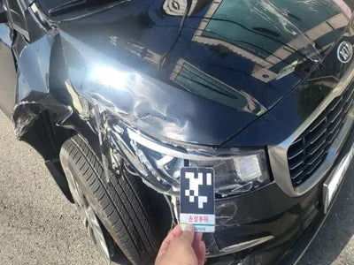 2019 Kia Carnival KNAMB81ABKS579049 VIN:KNAMB81ABKS579049
