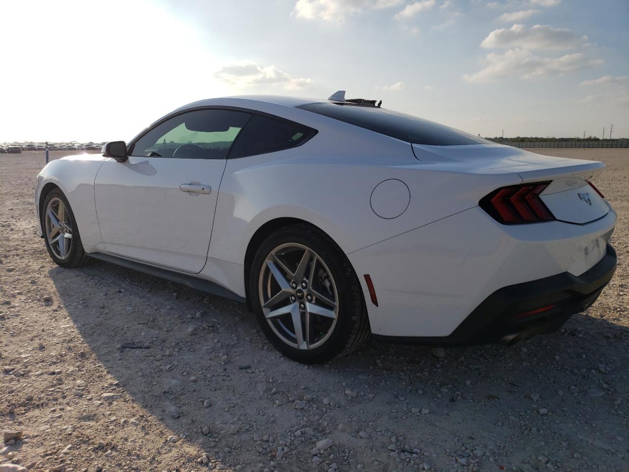 2024 FORD MUSTANG  VIN:1FA6P8TH7R5118686