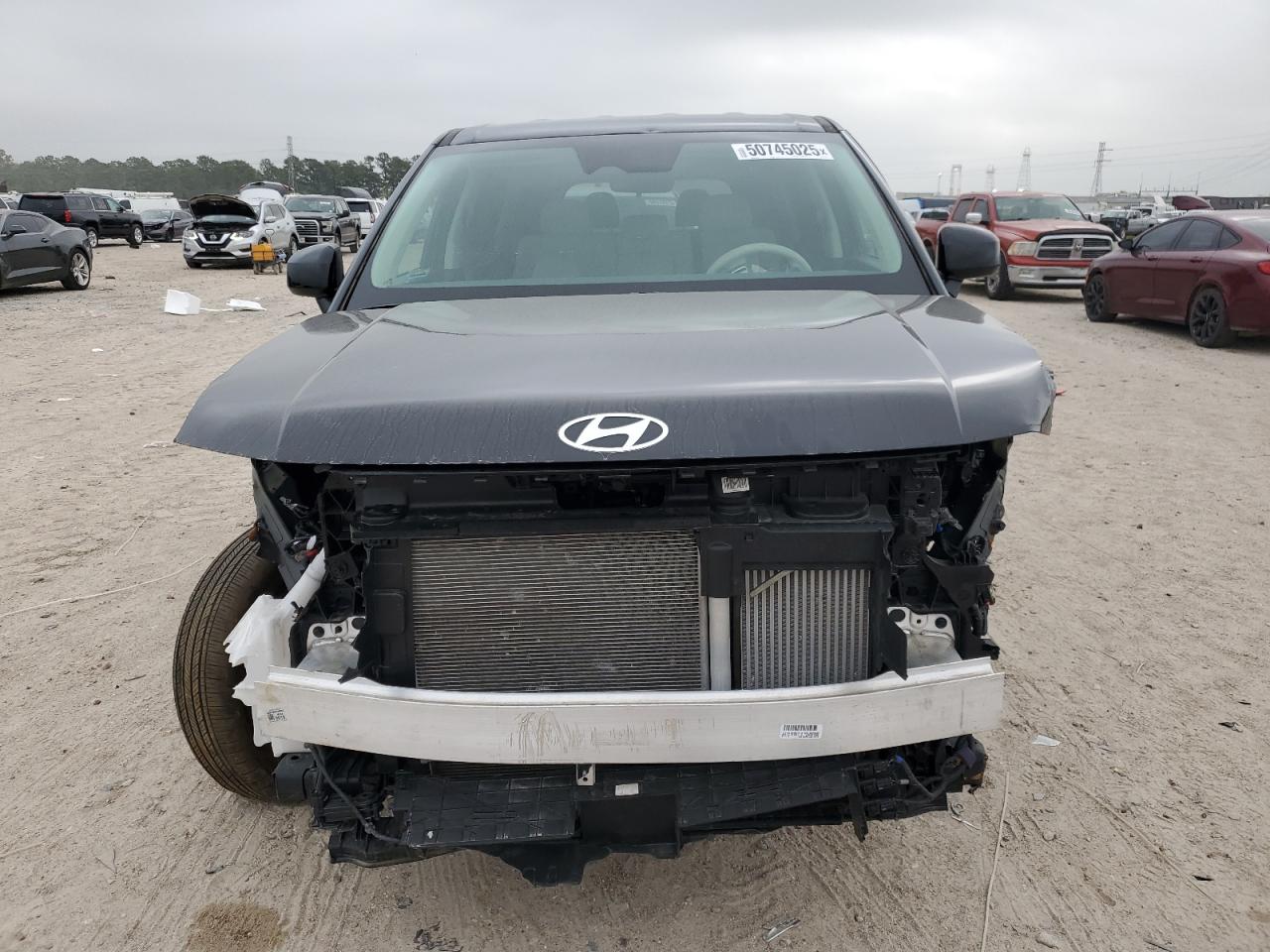 2024 HYUNDAI SANTA FE SE VIN:5NMP14GL5RH055401