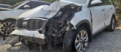 2019 Kia Sorento KNAPS81BBLA564800 VIN:KNAPS81BBLA564800