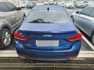 2015 acupuncture nessis 3.3 VIN: