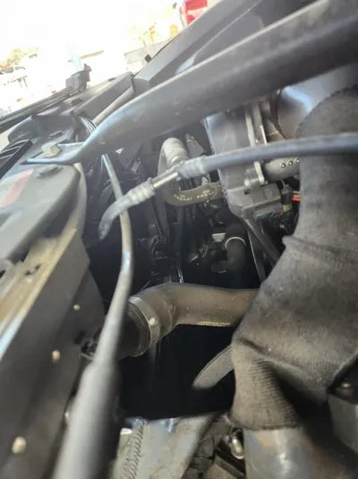 2021 Audi 50 WAUZZZF88MN005564 VIN:WAUZZZF88MN005564