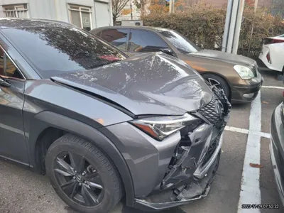 2019 Lexus UX 250 JTHY6JBHXK2026749 VIN:JTHY6JBHXK2026749