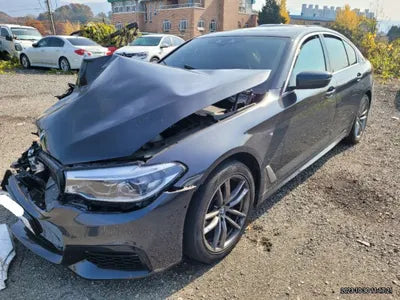 2020 BMW 520 WBAJF5106LCD44448 VIN:WBAJF5106LCD44448