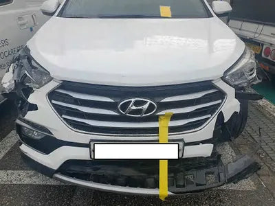 2017 Hyundai Santa FE KMHSW81UBHU757040 VIN:KMHSW81UBHU757040