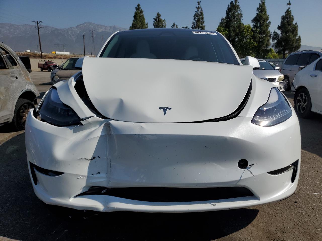 2024 TESLA MODEL Y  VIN:7SAYGDEF2RF117616