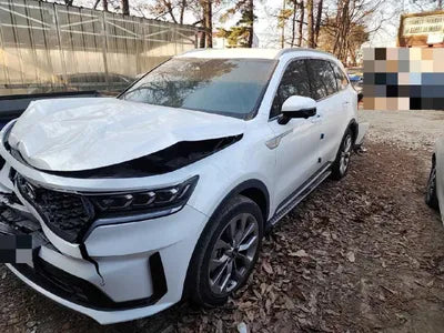 2020 Kia Sorento KNAPG81BBLA569568 VIN:KNAPG81BBLA569568