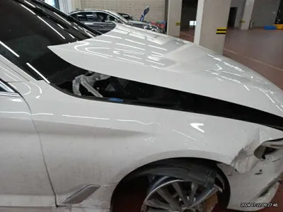 2020 BMW 530 WBAJR9106LWW59325 VIN:WBAJR9106LWW59325