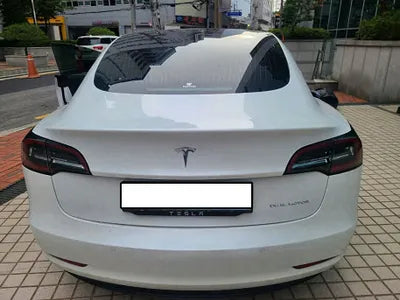 2020 Tesla Model 3 5YJ3E1EB0LF733542 VIN:5YJ3E1EB0LF733542