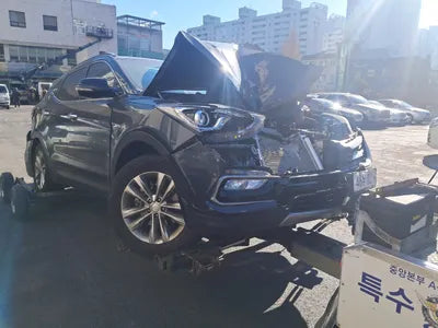 2016 Hyundai Santa FE KMHSW81UBGU697109 VIN:KMHSW81UBGU697109