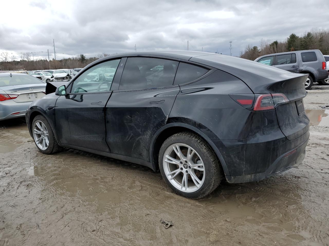 2023 TESLA MODEL Y  VIN:7SAYGDEE7PA030344