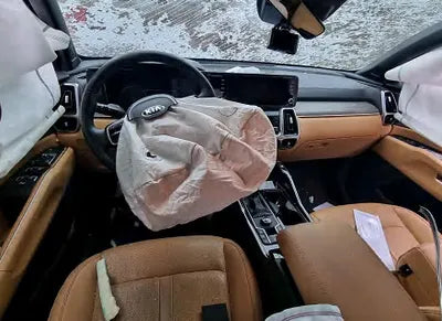 2021 Kia Sorento KNARH81FGMA075279 VIN:KNARH81FGMA075279