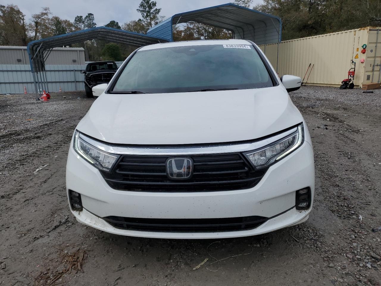 2024 HONDA ODYSSEY EXL VIN:5FNRL6H66RB018964