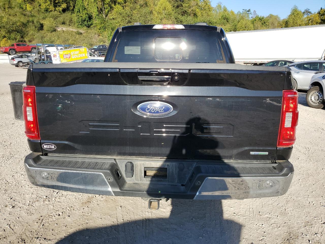 2023 FORD F150 SUPERCREW VIN:1FTEW1EP7PKG17300